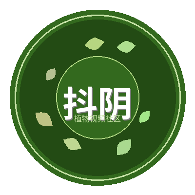 抖阴